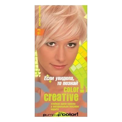 Fiona Creative color тон 11.3 Дикая орхидея краска для волос