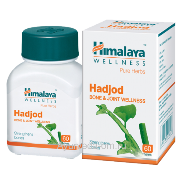 Хаджод / Hadjod